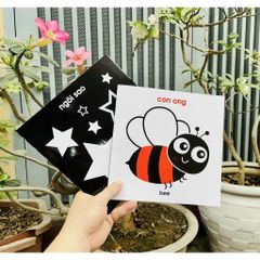 Thẻ Flashcard Kích Thích Thị Giác Cho Trẻ Sơ Sinh 0-1 Tuổi Zic Zắc - ảnh 3