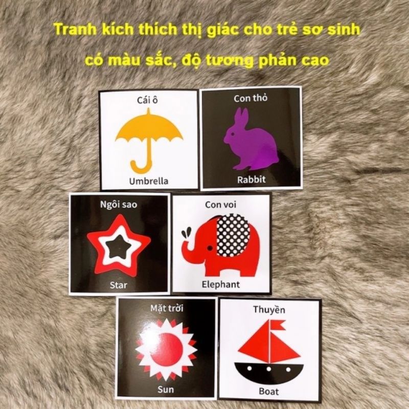 Thẻ Flashcard Kích Thích Thị Giác Cho Trẻ Sơ Sinh 0-1 Tuổi Zic Zắc - Ảnh thực tế 8