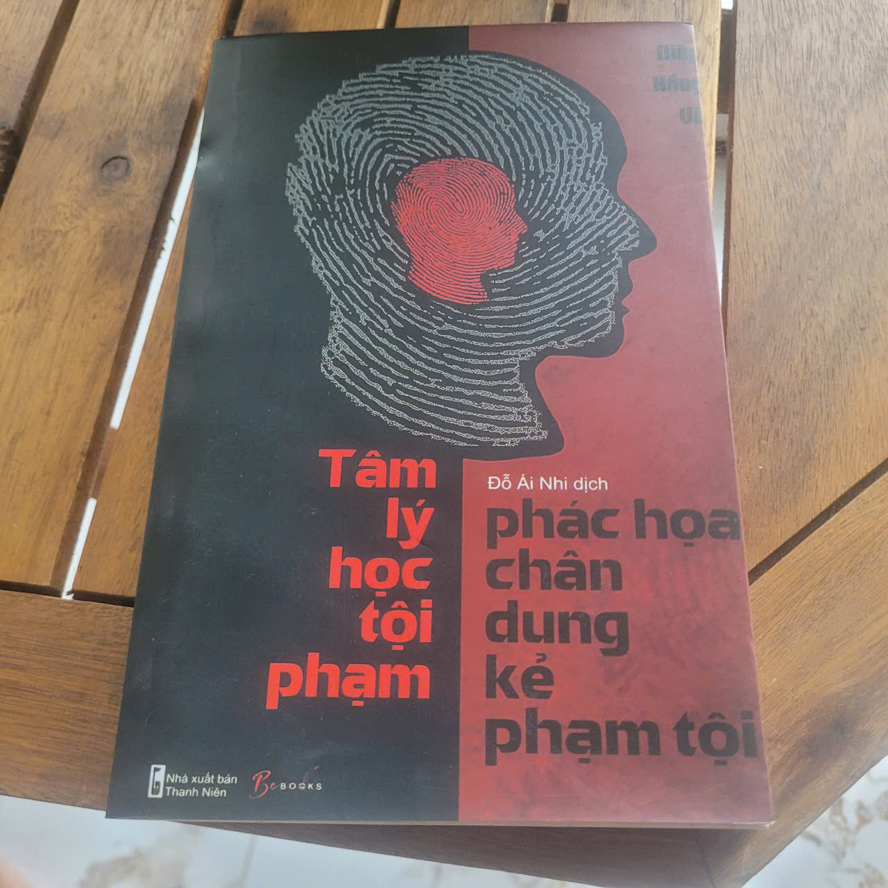 Tâm lý học tội phạm - phác họa chân dung kẻ phạm tội Diệp Hồng Ứu
