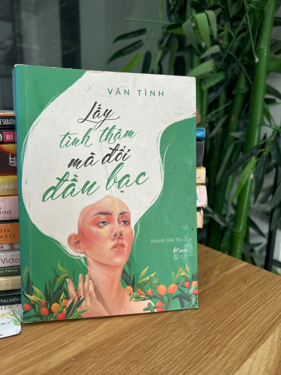 Lấy thân tình đổi mái đầu bạc - Vãn Tình