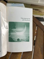 Vàng Trăng Lục Bát - Trương Tri - Trương Tri - ảnh 4