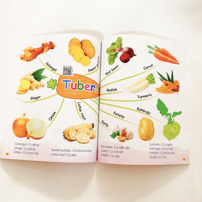 Sách Chinh Phục Từ Vựng Tiếng Anh - Theo Sơ Đồ Tư Duy Mind Map Hơn 2000 Từ ( Kèm File Nghe Tiếng Anh)