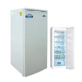  Tủ đá ALASKA IF21 