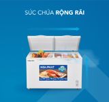  Tủ bảo quản Hòa Phát 2 ngăn, dàn đồng, inverter 295 lit HPF BD6295 