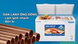 Tủ bảo quản Hòa Phát 2 ngăn, dàn đồng, inverter 240 lit HPF BD8245 