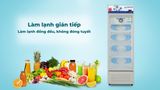  Tủ mát gián tiếp đóng ON/OFF, dàn đồng Hòa Phát 240 lit HSR D6242 