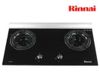  Bếp gas âm RINNAI RVB-2GIBW 