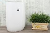  Máy lọc không khí Sharp FP-J40E-W 23W 