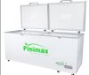  Tủ đông 1 ngăn 2 cánh dàn đồng Inverter Pinimax PNM89AF3 761 lít 