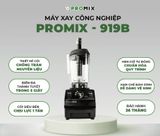  Máy sinh tố công nghiệp PROMIX PM-919B 