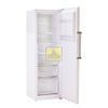  Tủ đông đứng Alaska IFI-290N, Inverter, 9 ngăn, 310L 