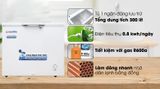  Tủ bảo quản Alaska BD-300, 300 lít 1 ngăn, 1 cánh 
