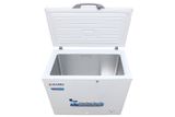  Tủ bảo quản Alaska BD-300, 300 lít 1 ngăn, 1 cánh 