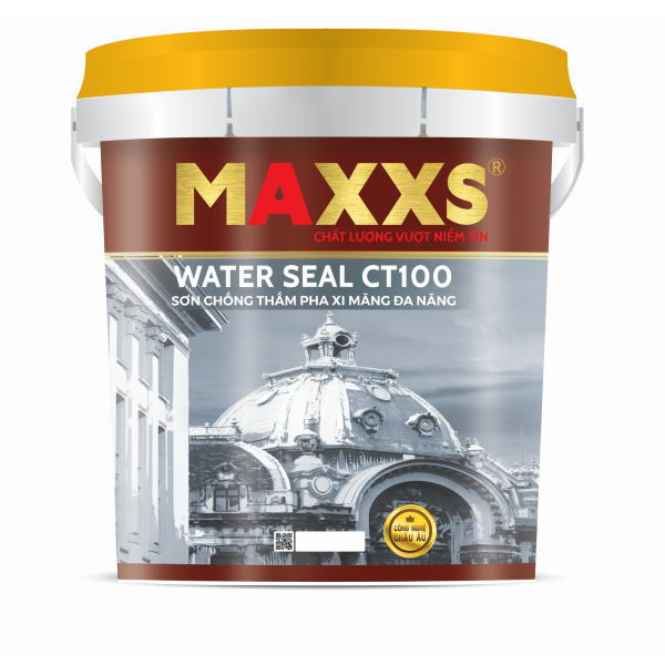 Sơn Chống Thấm Pha Xi Măng Đa Năng – Maxxs CT100