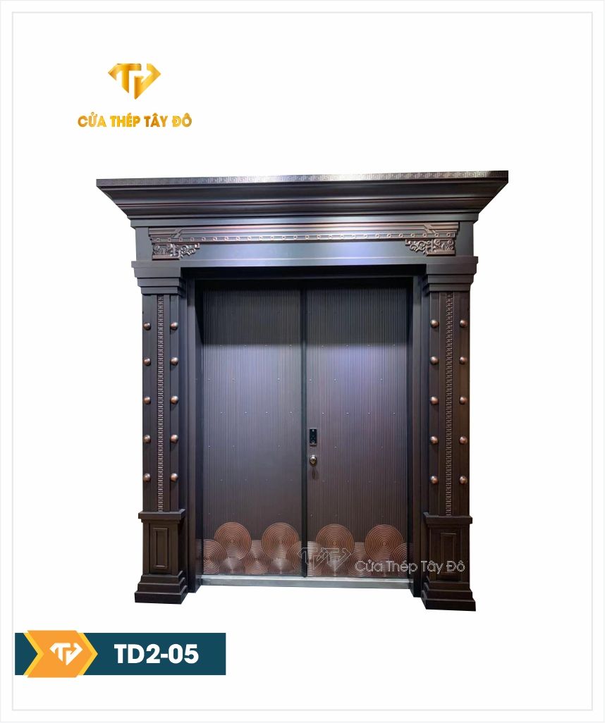  Cửa Thép Đẹp TD2-05 