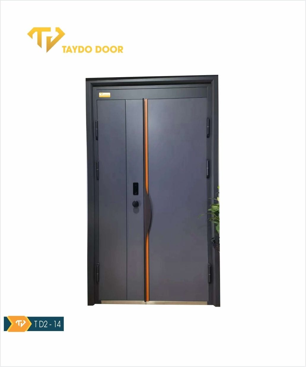  Cửa thép biệt thự TD1-02 