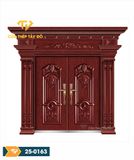  Cửa thép vân gỗ 5D 25-0163 
