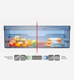  Tủ lạnh HRTN5275MFUVN 260 Lít Ngăn Đông Trên HITACHI 