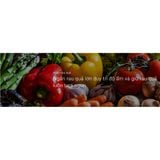  Tủ lạnh MR-FX47EN 376L Ngăn Đá Trên MITSUBISHI ELECTRIC 