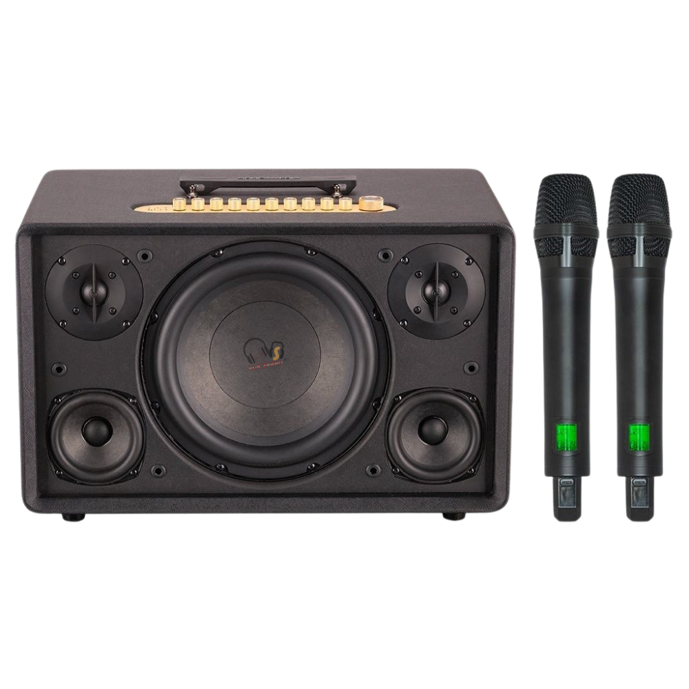 Loa Karaoke ACNOS FLAC 39