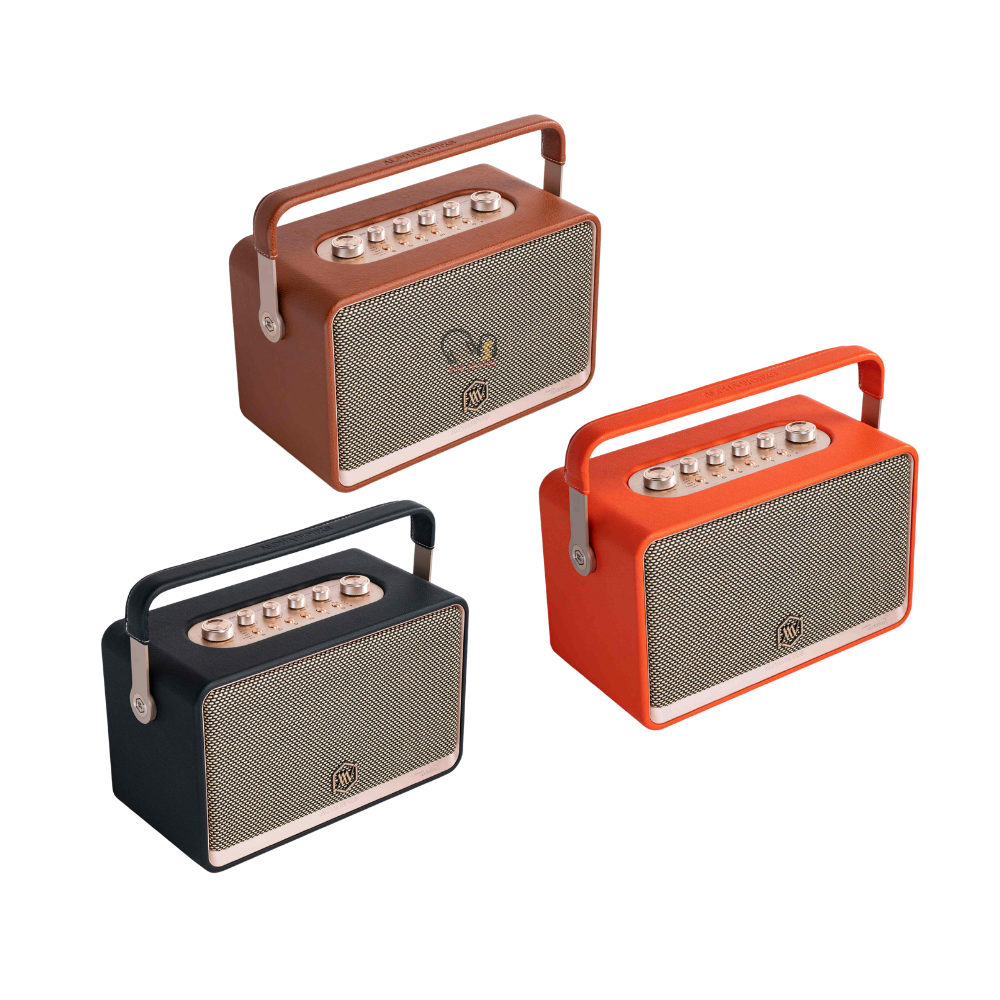 Loa Bluetooth Alpha Works W99