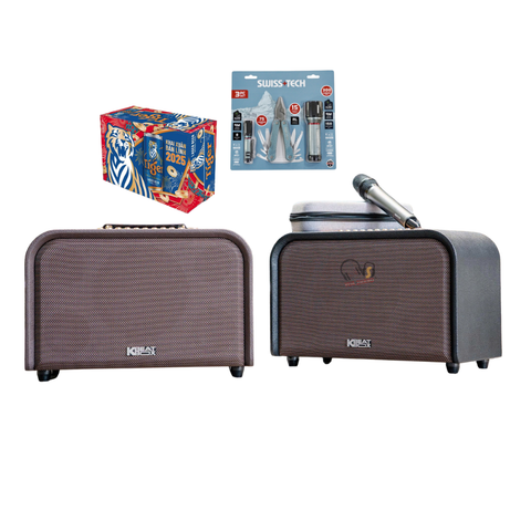 Loa Karaoke ACNOS Acoustic 3 Compact