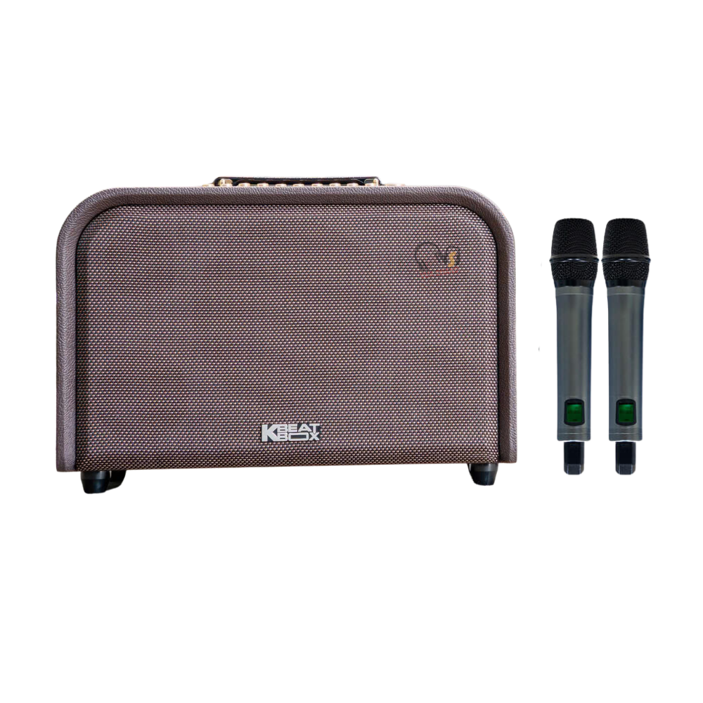 Loa Karaoke ACNOS Acoustic 3 Compact