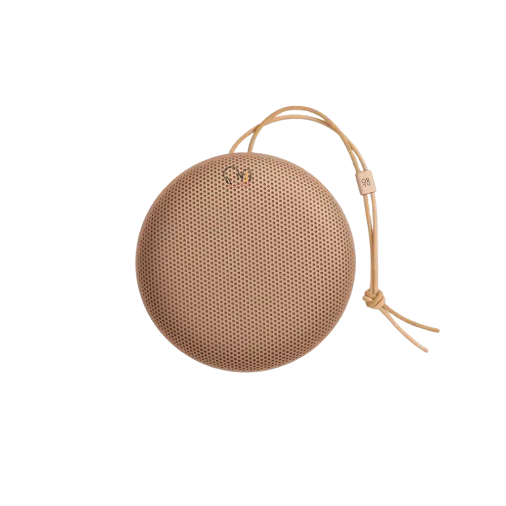Loa Bluetooth Bang & Olufsen Beosound A1 Gen 3