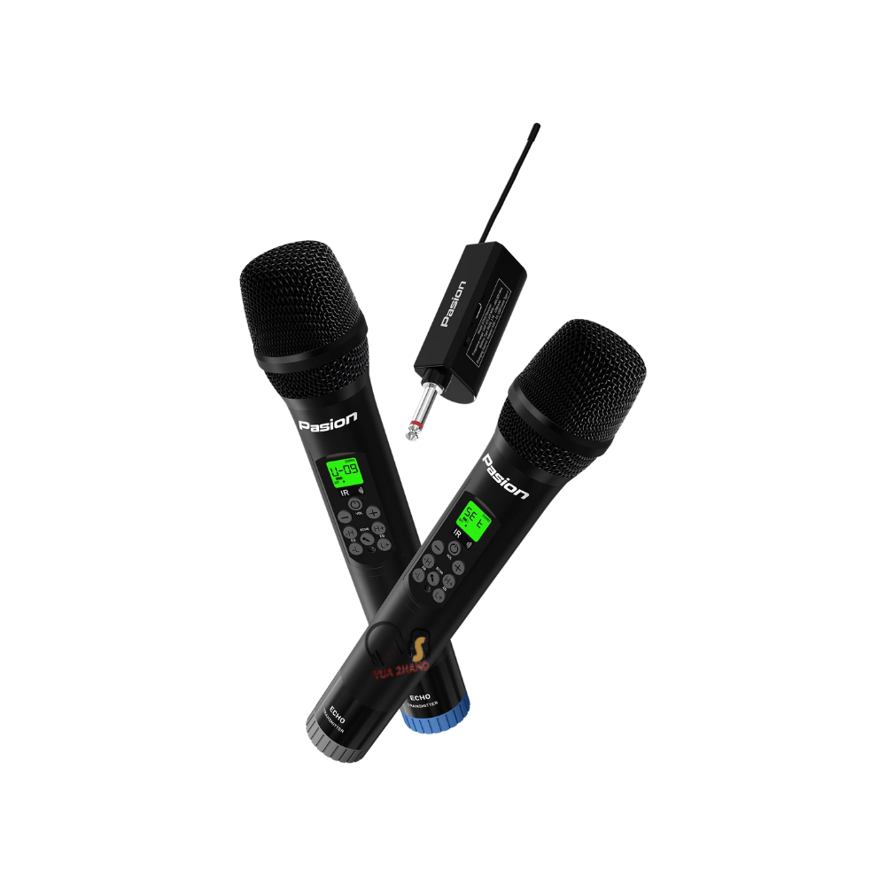 Micro Karaoke Paramax Pasion Echo 2025