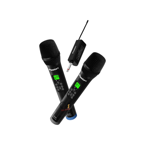 Micro Karaoke Paramax Pasion Echo 2025