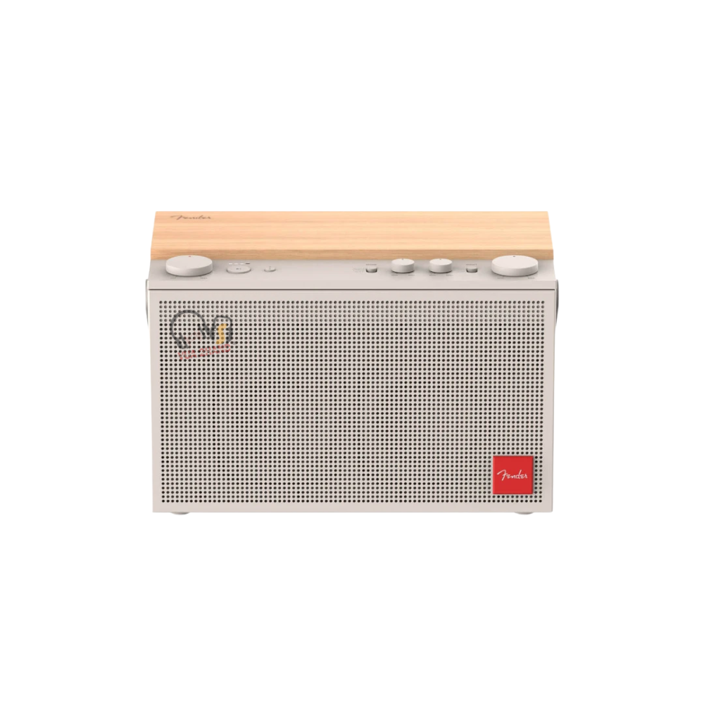 Loa Bluetooth Fender Elie 12 cũ