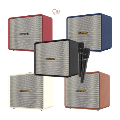 Loa Karaoke PARAMAX Nice