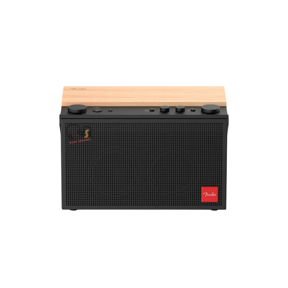 Loa Bluetooth Fender Elie 12