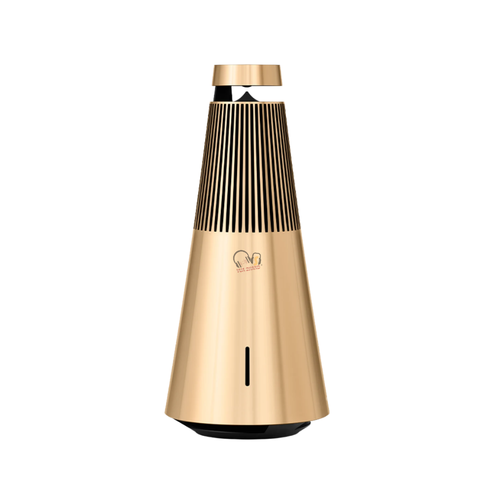 Loa Bluetooth Bang & Olufsen BeoSound 2 Gen 2 cũ