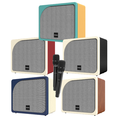 Loa karaoke PARAMAX Evox Max