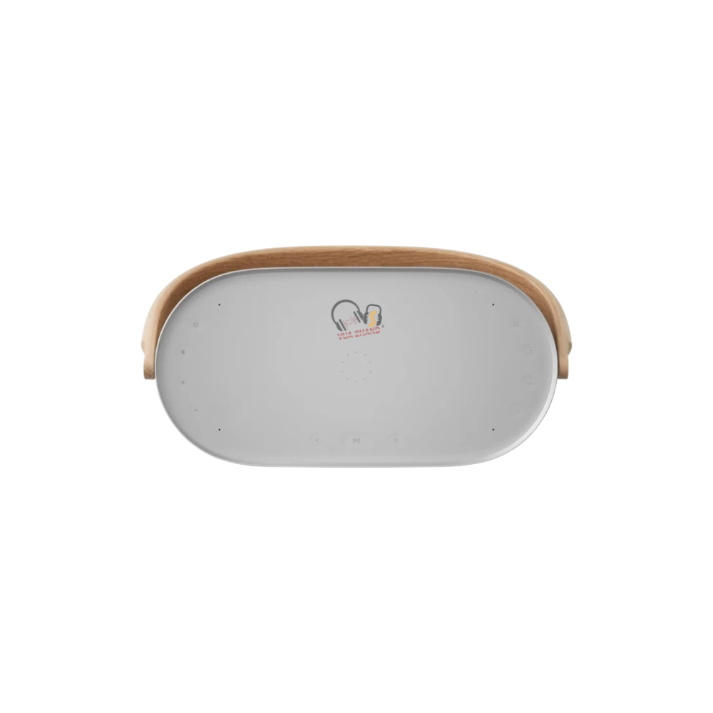 Loa Bluetooth Bang & Olufsen Beosound A5 cũ