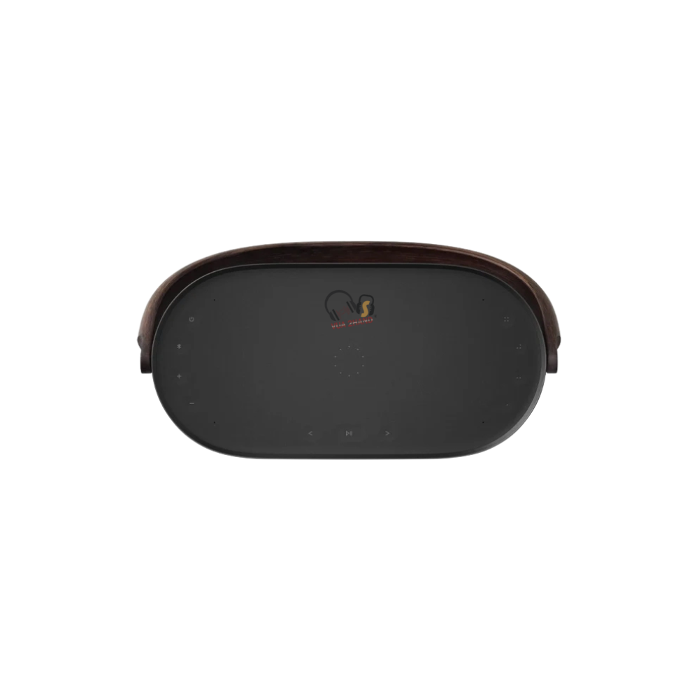Loa Bluetooth Bang & Olufsen Beosound A5 cũ