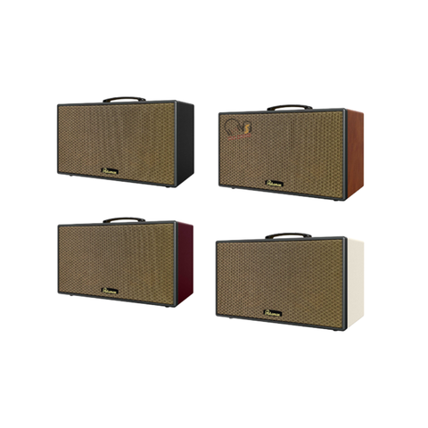 Loa Karaoke PARAMAX Aura