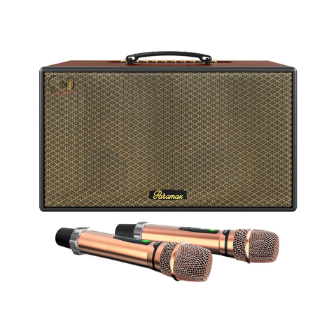 Loa Karaoke PARAMAX Aura