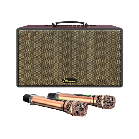 Loa Karaoke PARAMAX Aura