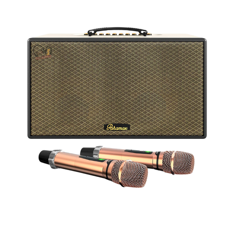 Loa Karaoke PARAMAX Aura