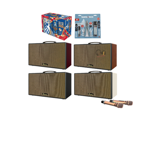 Loa Karaoke PARAMAX Aura