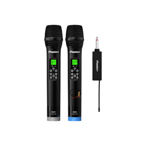 Micro Karaoke Paramax Pasion Echo 2025