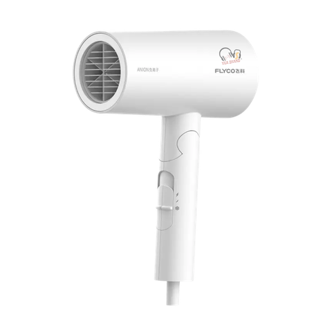 Máy sấy FLYCO FH6276