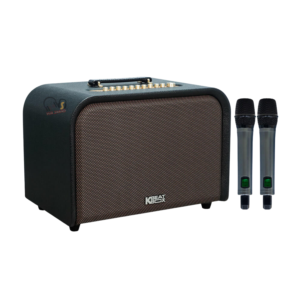 Loa Karaoke ACNOS Acoustic 3 Compact