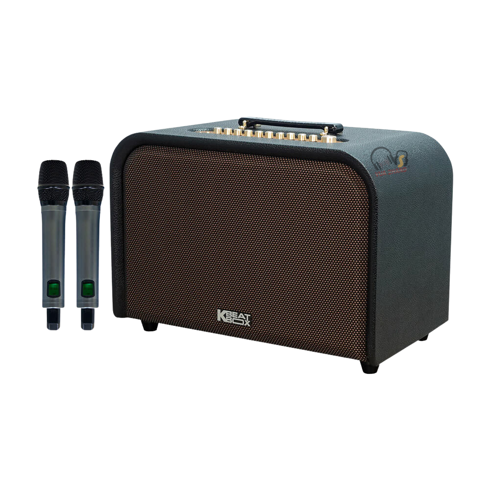 Loa Karaoke ACNOS Acoustic 3 Compact