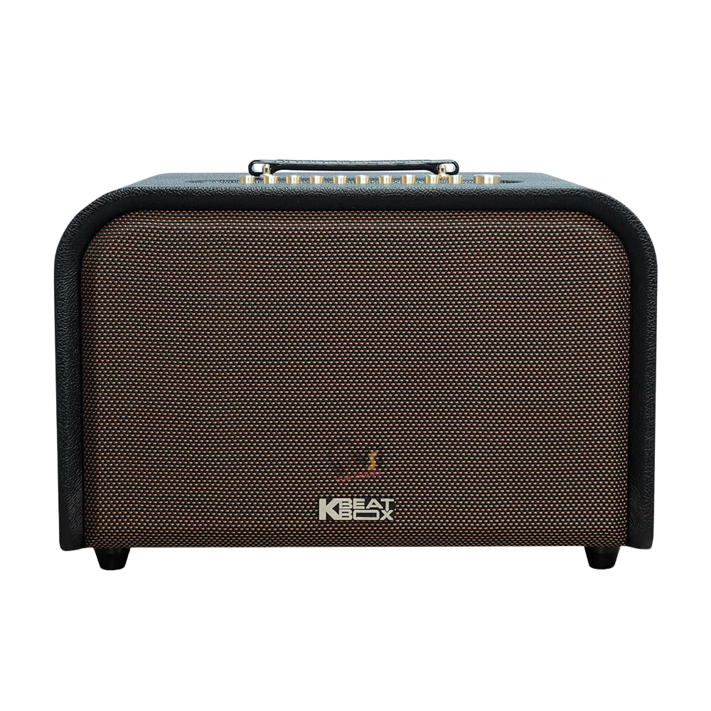 Loa Karaoke ACNOS Acoustic 3 Compact