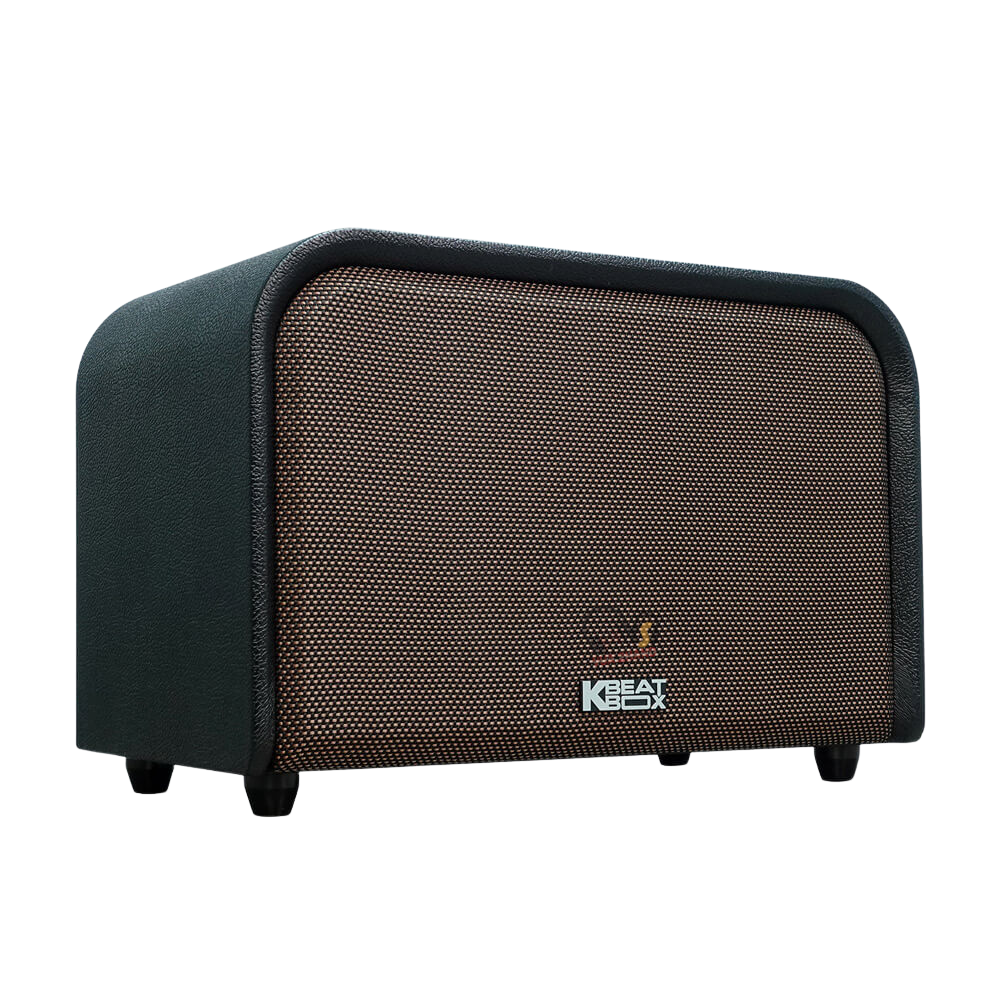 Loa Karaoke ACNOS Acoustic 3 Compact