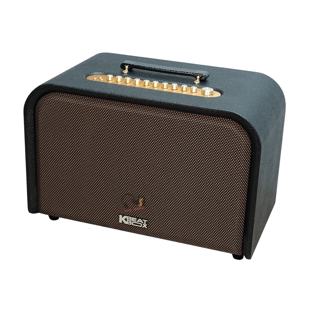 Loa Karaoke ACNOS Acoustic 3 Compact