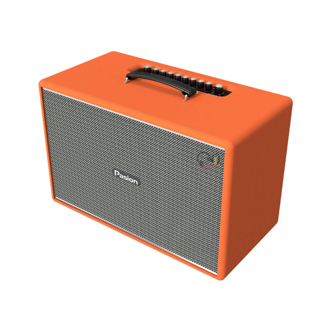 Loa Karaoke PASION Mozo